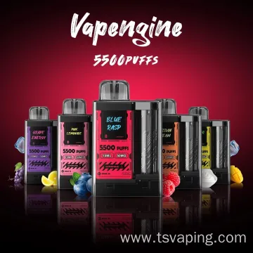 Wholesale Vape Juice 5500 Puffs Big Capacity ECig